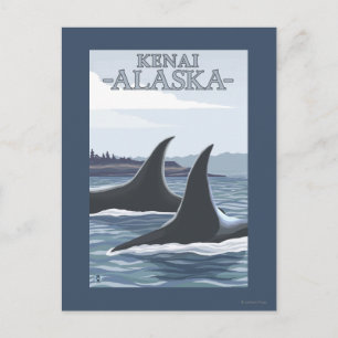 Orca Whales #1 - Kenia, Alaska Briefkaart