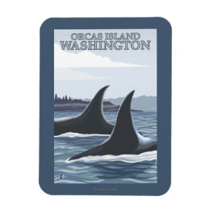 Orca Whales #1 - Orcas Island, Washington Magneet