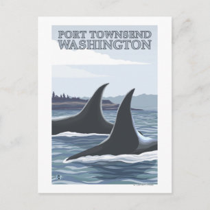 Orca Whales #1 - Port Townsend, Washington Briefkaart