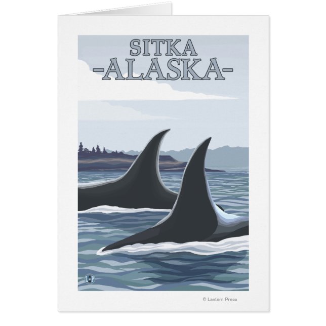 Orca Whales #1 - Sitka, Alaska (Devant)