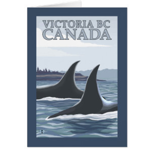 Orca Whales #1 - Victoria (Colombie-Britannique) C