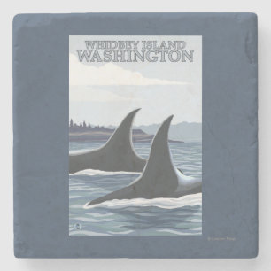 Orca Whales #1 - Whidbey, Washington Stenen Onderzetter