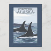 Orca Whales #1 - Whittier, Alaska Briefkaart (Voorkant)