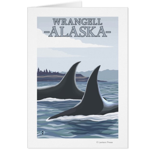 Orca Whales #1 - Wrangell, Alaska (Voorkant)