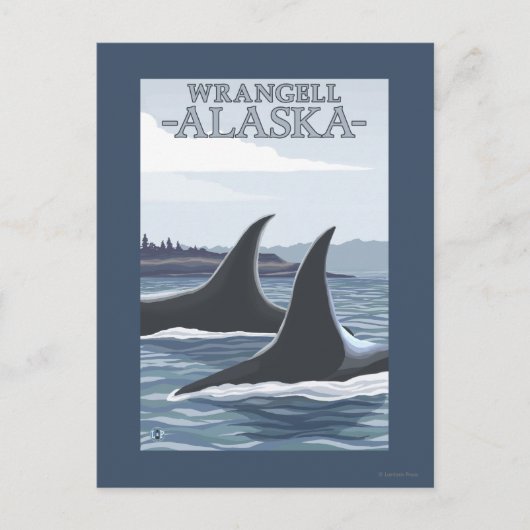 Orca Whales #1 - Wrangell, Alaska Briefkaart (Voorkant)
