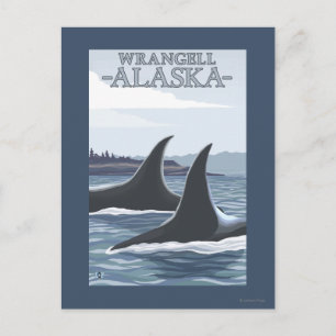 Orca Whales #1 - Wrangell, Alaska Briefkaart