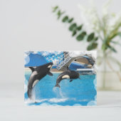Orca Whales Briefkaart (Staand voorkant)