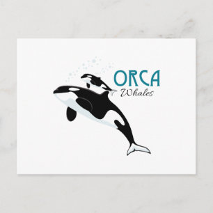 Orca Whales Briefkaart