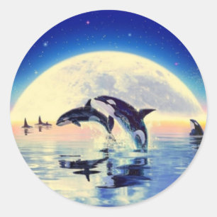 Orca Whales Ronde Sticker