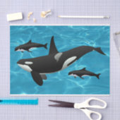 Orca Whales Tissuepapier (Craft)