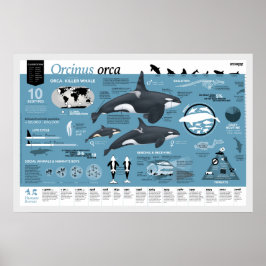 Orcagraphic poster - Engelse editie