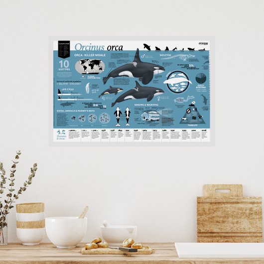 Orcagraphic poster - Engelse editie (Keuken)