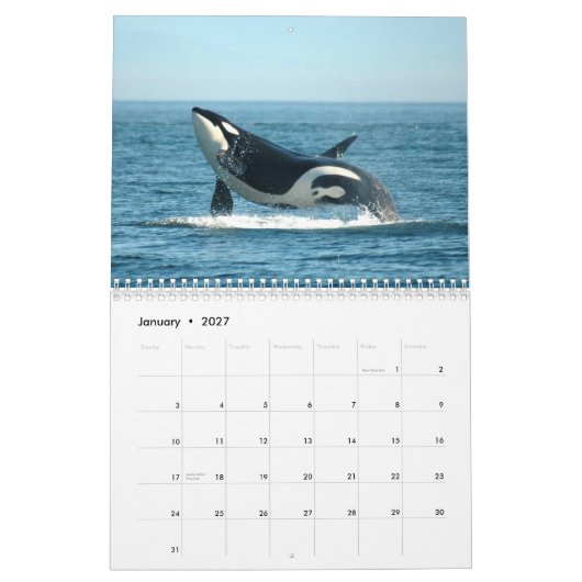 Orcas ~ 2012 Agenda Kalender (Jan 2027)