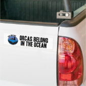 Orcas Belong in de Bumpersticker van de Oceaan (Op Truck)
