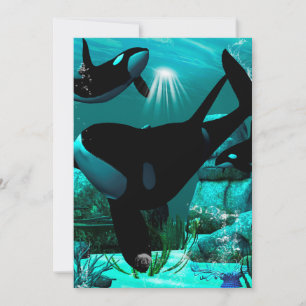 Orcas Kaart