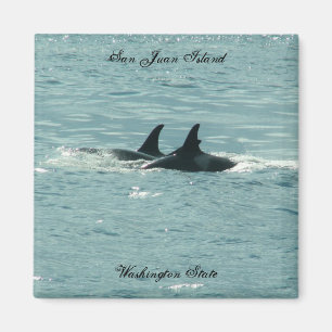 Orcas. Magneet