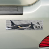 Orcas "No Tanks"-Bumpersticker Bumpersticker (Op auto)