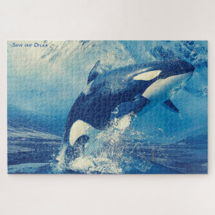 Orcas of Zwaardwalvissen Legpuzzel