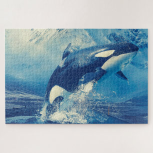 Orcas of Zwaardwalvissen Legpuzzel