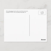 Orcas Spyhopping Briefkaart (Achterkant)