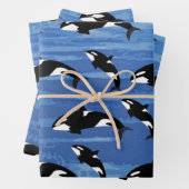 Orcas Wrapping Paper Sheets (In situ)