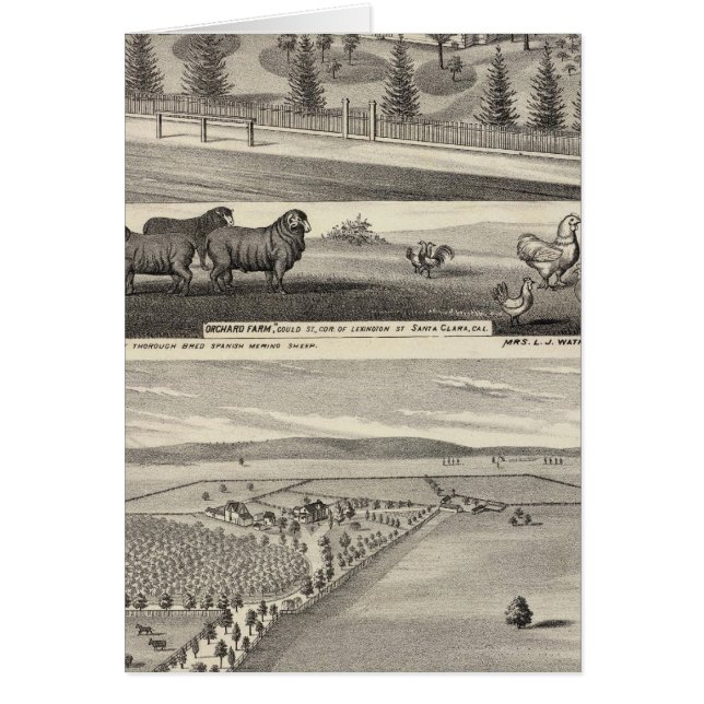 Orchard Farm, Somerville Lodge (Devant)