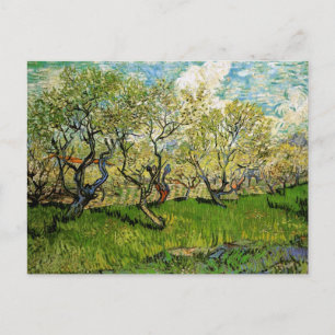 Orchard in Blossom Amsterdam Van Gogh Fine Art Briefkaart