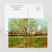 Orchard in Blossom, Vincent van Gogh Briefkaart (Voorkant / Achterkant)