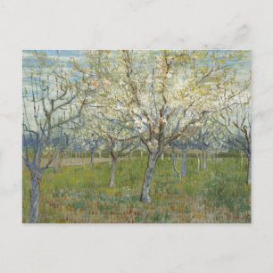Orchard met bloedige abrikozenbomen - Van Gogh P Briefkaart