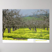 Orchard Mustard Fields Poster (Voorkant)