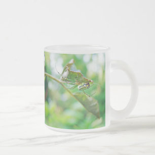 Orchard Orbwever - Leucauge venusta Matglas Koffiemok