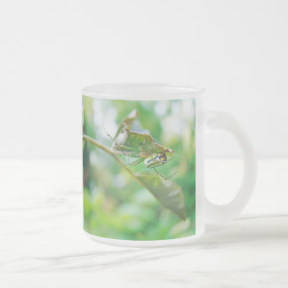 Orchard Orbwever - Leucauge venusta Matglas Koffiemok