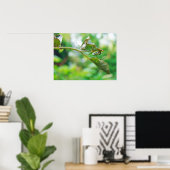 Orchard Orbwever - Leucauge venusta Poster (Thuiskantoor)