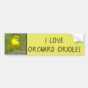 Orchard Oriole - oorspronkelijke foto Bumpersticker