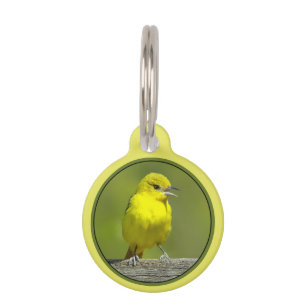 Orchard Oriole - oorspronkelijke foto Huisdierpenning