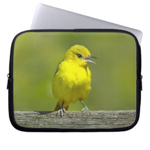Orchard Oriole - oorspronkelijke foto Laptop Sleeve