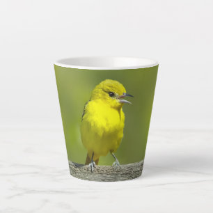 Orchard Oriole - oorspronkelijke foto Latte Mok