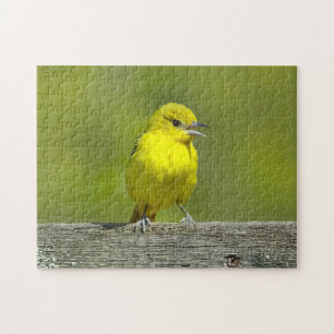 Orchard Oriole - oorspronkelijke foto Legpuzzel
