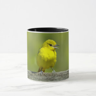Orchard Oriole - oorspronkelijke foto Mok