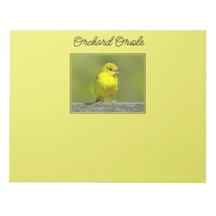 Orchard Oriole - oorspronkelijke foto Notitieblok