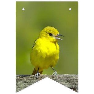 Orchard Oriole - oorspronkelijke foto Vlaggetjes