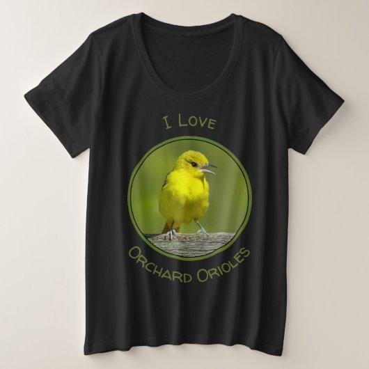 Orchard Oriole - Photo originale (Design devant)