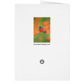 Orchard Oriole Songbird Peinture Oiseau original (Dos)