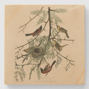 Orchard Oriole uit Audubon's Birds of America Stenen Onderzetter