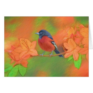 Orchard Oriole zangvogel schilderij originele voge