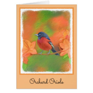 Orchard Oriole zangvogel schilderij originele voge