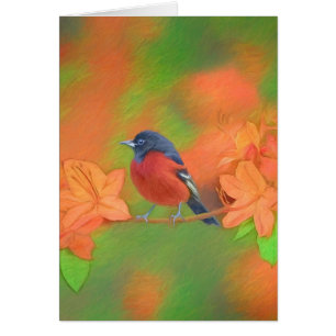 Orchard Oriole zangvogel schilderij originele voge