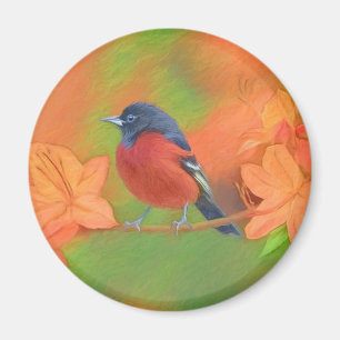 Orchard Oriole zangvogel schilderij originele voge Magneet
