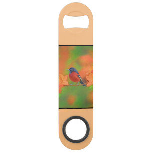 Orchard Oriole zangvogel schilderij originele voge Speed Flessenopener