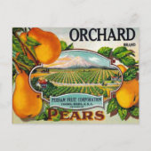  Orchard Pears Briefkaart (Voorkant)